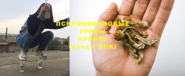 ПСИЛОЦИБИНОВЫЕ ГРИБЫ Аркадак