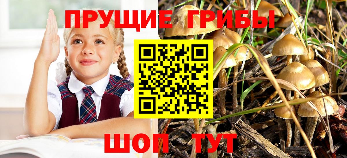 Галлюциногенные грибы Psilocybine cubensis  как найти закладки  Барабинск  Галлюциногенные грибы ЛСД  Вход с VPN 
