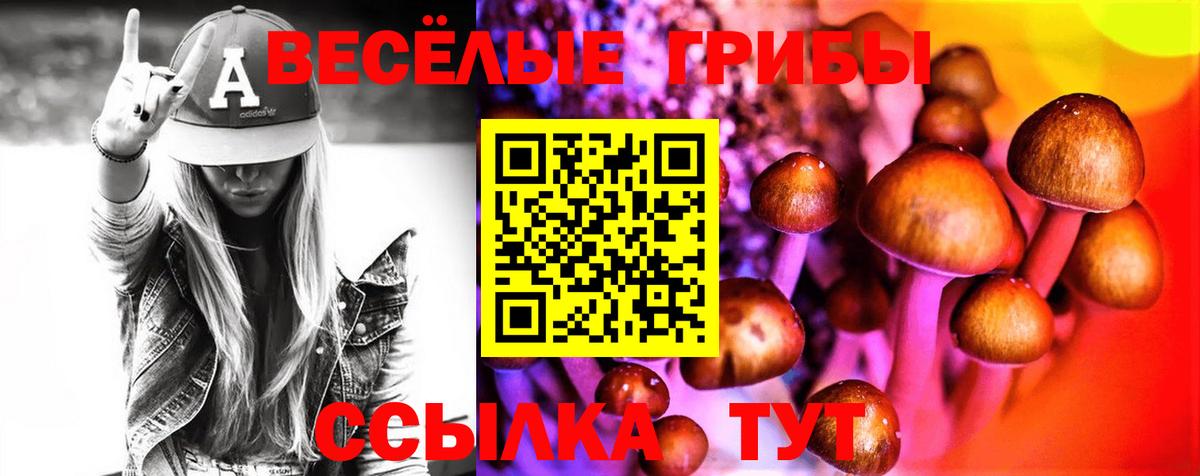 Галлюциногенные грибы GOLDEN TEACHER Барабинск